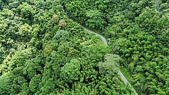 🔥尖石便宜原保地🔥