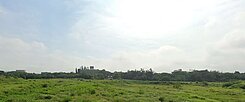 大園20米路交通用地(變更中)