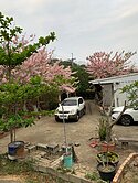 旗甲公路退休養生農建地