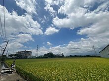 🍓🍓(地主誠售)烏日區臨精密、台中工業區農地