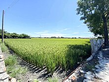 ✅彰化埔心鄉✅近員林交流道✅都計內重劃農地