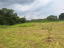 旗山~旗甲二路臨路農牧地+資材室