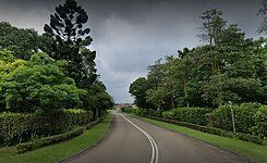 EMILY好案精選❤️龍潭高爾夫球場旁正路邊農地