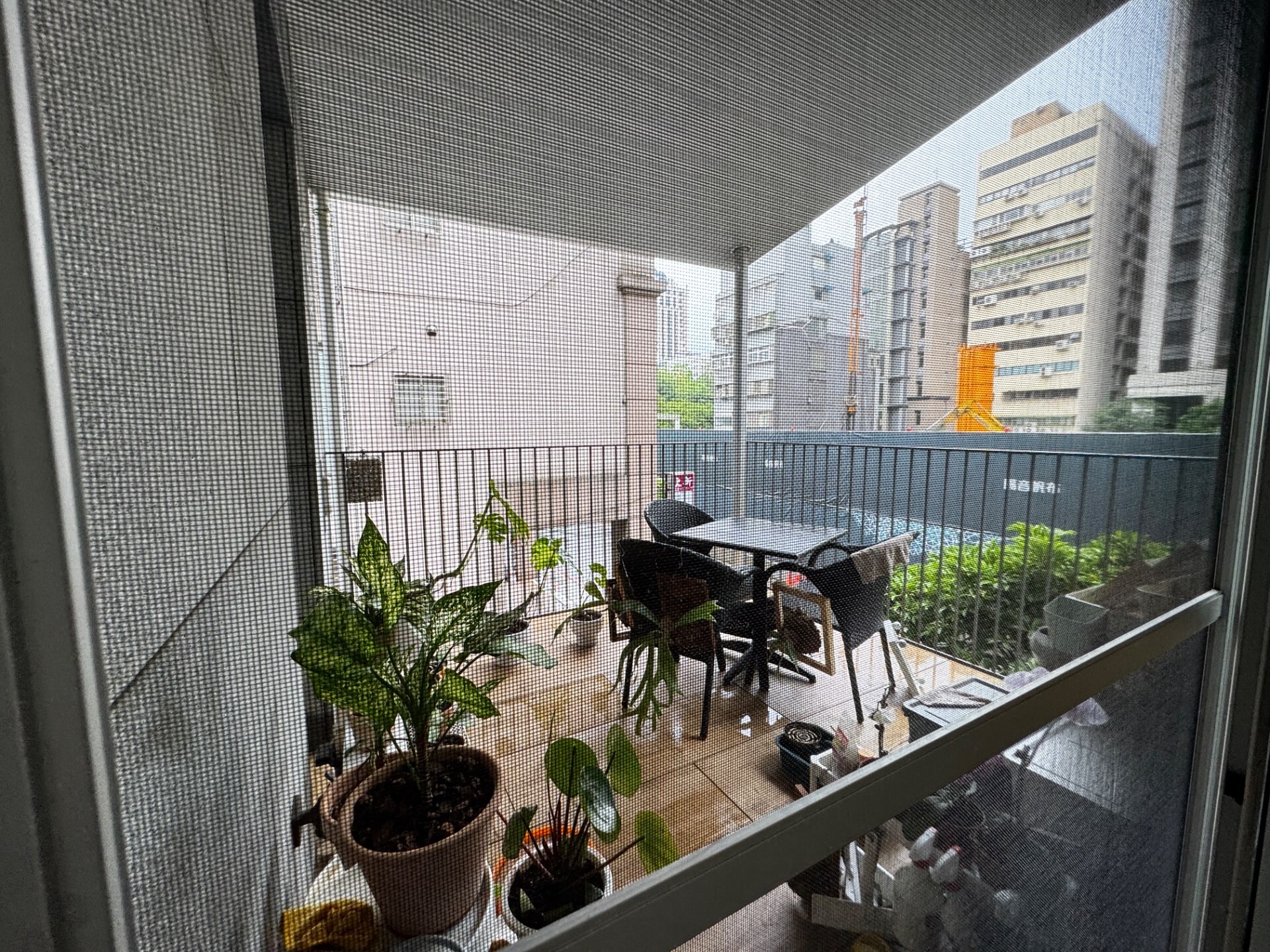 封面圖