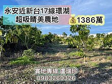 永安#近新台17線#環湖#超吸睛美農地