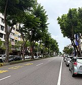 【5樓黃金電梯店住別墅】8房全新百萬裝潢｜文武百市