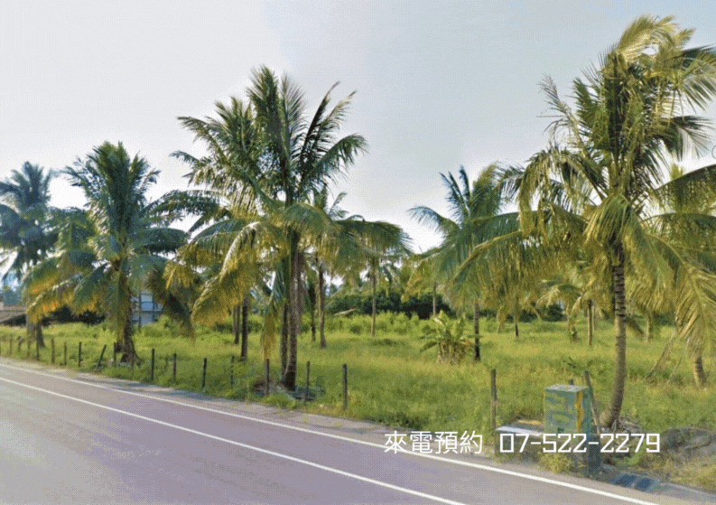🏆【獨家】杉林花海美農地