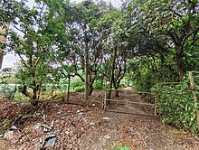 太平頭汴坑土地(找太平玉虛金鋒宮)