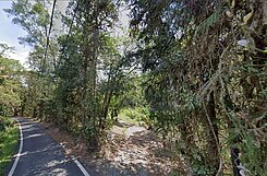 專任南投九族文化村旁保有原始森林美農地