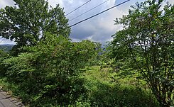 專任南投九族文化村旁大地坪美農地
