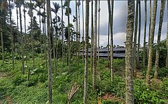 專任低於實登南投九族文化村旁超值丙種建地