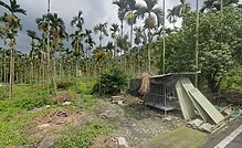 專任南投九族文化村旁大地坪美農地