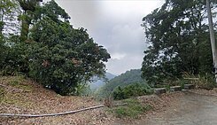 專任南投竹山十三甲碳權首選美林地