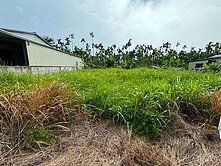 內埔近義大醫院都內方正農地