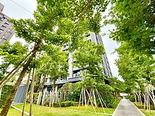 【大城仰雲】精緻裝潢 | 二房 | 