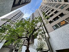 倒數3天｜鳳山國城沐夏｜3房平移車