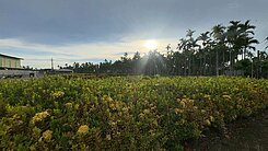 崁頂鄉村花園農地5.44分