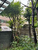 @南屯｜企業主最愛❤️大地坪朝南向電梯豪墅