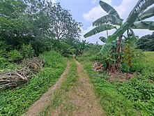 臨路近住宅區近龜丹活動中心休閒農地