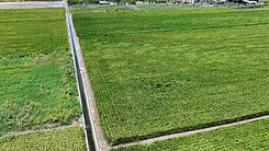 西港區後營7.6分農地-專約