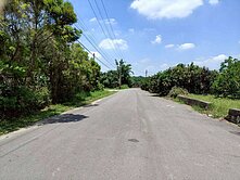 大內區牛奶果園3.2甲8米路 