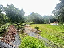 埔里桃米坑段｜退休規劃首選｜低總價輕鬆入手