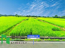 house cover