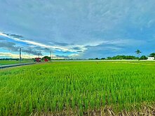 ★路竹區★稀有釋出雙面臨路精華農地23861