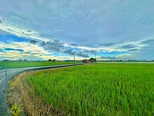 ★路竹區★稀有釋出雙面臨路精華農地23861