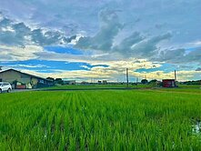 紘緯推薦💕稀有釋出雙面臨路💕精華農地