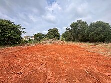🌳楊梅埔心車站周邊✅10米路都內小農地✅低總價