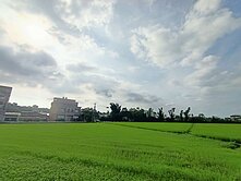 【多筆可選】大溪仁和路旁大面寬農地～投資首選