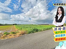 ❰專約❱柳營八老爺『乳牛的家』旁3.5分美農地