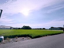 【稀有釋出】彰化金豐旁 🌿都計農地  