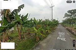旗山五龍山鳳山寺旁4.92分農地