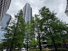 🏆王敬紅🏆大直CBD時代廣場要