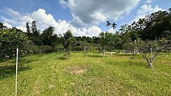 桃米坑段-臨路方正開心農場有水有電附合法資材室