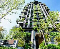 ❖陸府觀森｜在城市中與森林共舞的詩意棲居❖一屋一詩