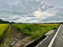 台南官田1.98分特農地