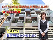 【永義敏娟】安平市政府商圈朝南全新電梯三車美墅