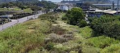仁武正水管路上大面寬農地