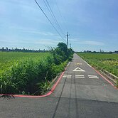 🌼新屋農地1599🌼