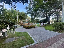  湖美大面寬挑高透天