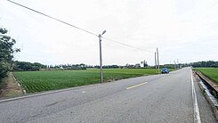 觀音正金橋路342坪農地