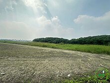 【台19甲旁3分大面寬美農地】