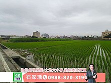 🍎專任🏅市場獨賣🏅橋頭都內農地(城一)