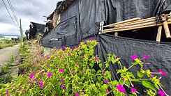 【新社香菇寮大地坪】平坦方正農牧用地