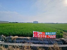 大林大路邊美農地