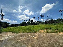 彰化芬園臨6米路山坡農地