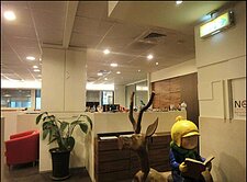 內科西湖整層辦公